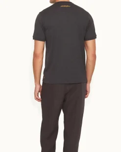 Ob Standard T